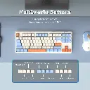 269w9.webp