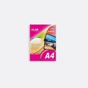 xLab A4-XLGMSM-260 Paper Satin Multi Economy 